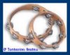 tambourine.jpg